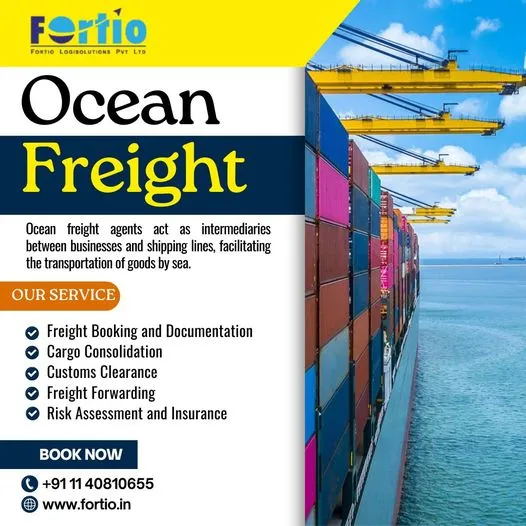 Fortio Logisolutions: Your Premier Partner Among International Ocean Freight Shipping Companies